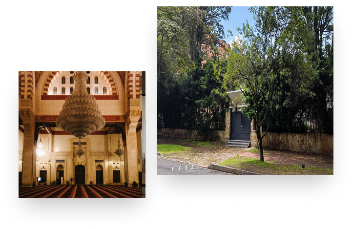 Raices que trascienden fronteras